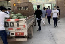 单县吃瓜新闻事件,一场引发全民热议的“瓜田风波”