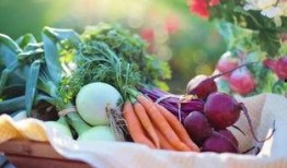 银川能源吃瓜,揭秘吃瓜群众的视角