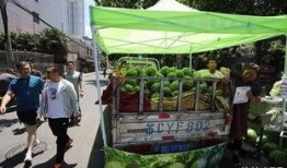 吃瓜直销,轻松赚钱的绿色通道