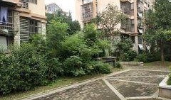 微山泰和家园吃瓜,吃瓜群众的欢乐盛宴