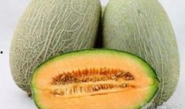 弟弟吃哈密瓜的样子,甜蜜瞬间定格