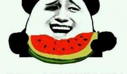 一级吃瓜群众,一级吃瓜群众视角下的娱乐圈风云录