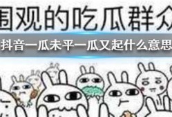 朝阳抖音吃瓜,揭秘网红圈背后的故事