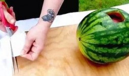 文安吃瓜事件全部,一场网络狂欢背后的真相与反思