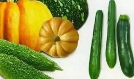 吃瓜报应,揭秘网络舆论背后的道德反思