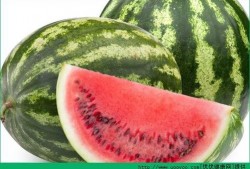 痛风可以吃莆瓜吗,莆瓜成为饮食新选择